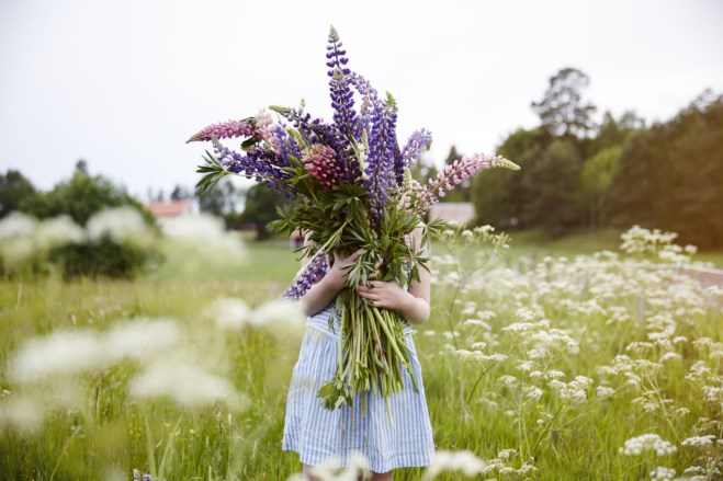 blomsterpike