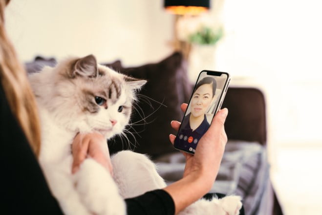 Katt og eier i konsultasjon med veterinær på mobil